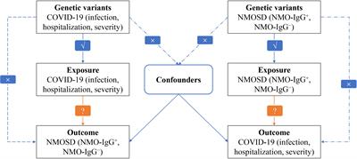 Causal relationships between susceptibility and severity of COVID-19 and neuromyelitis optica spectrum disorder (NMOSD) in European population: a bidirectional Mendelian randomized study
